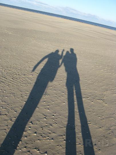 Texel 13 december 2009 (46).JPG